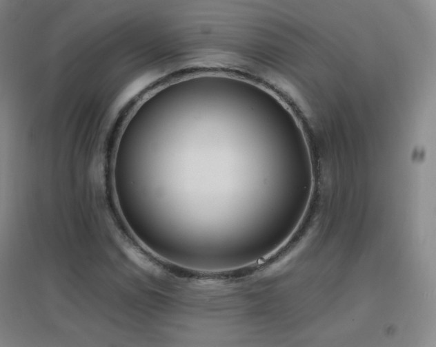 X0000096731114200802051433