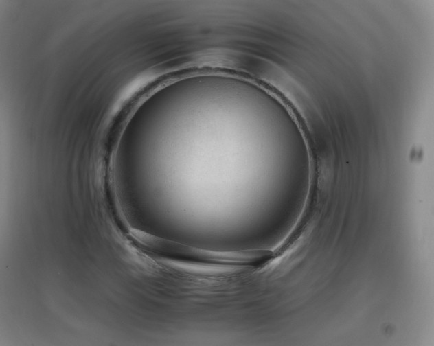 X0000096731115200802051433