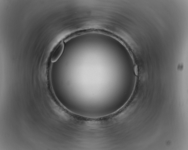 X0000096731118200802051433
