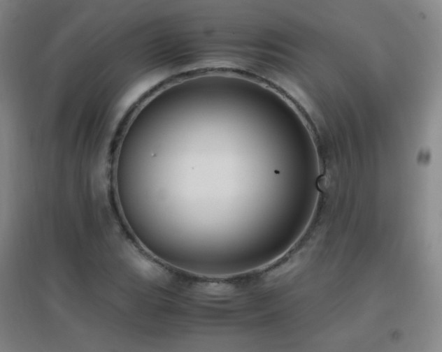 X0000096731119200802051433