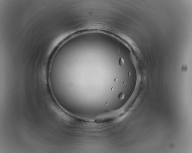 X0000096731120200802051433