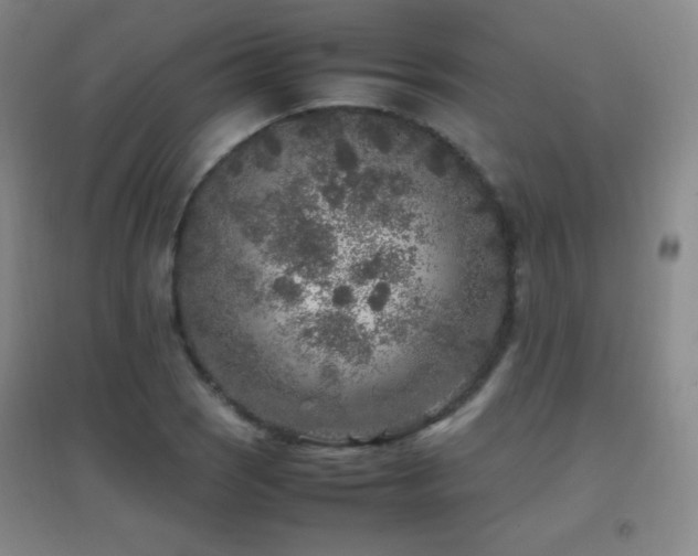 X0000096731121200802051433