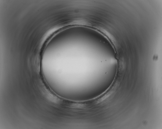 X0000096731123200802051433