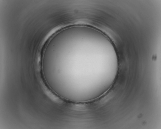 X0000096731126200802051433