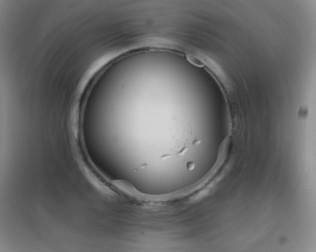 X0000096731128200802051433