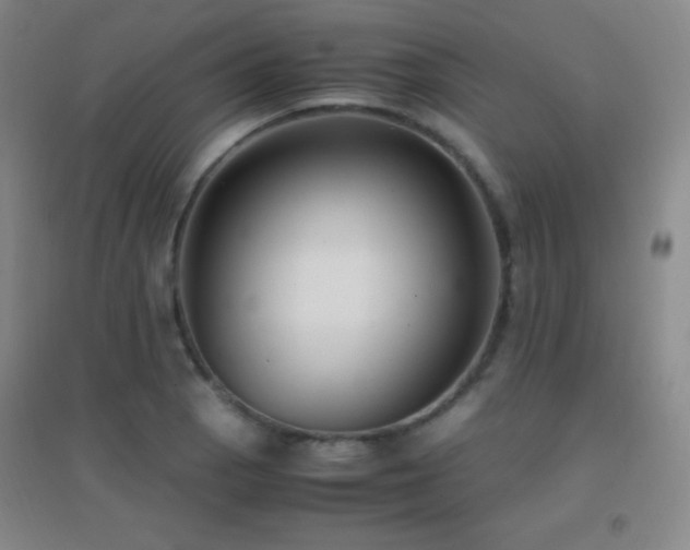X0000096731129200802051433