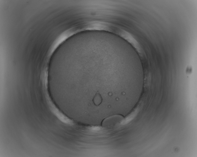 X0000096731130200802051433