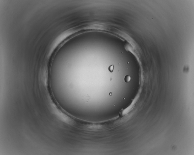 X0000096731131200802051433