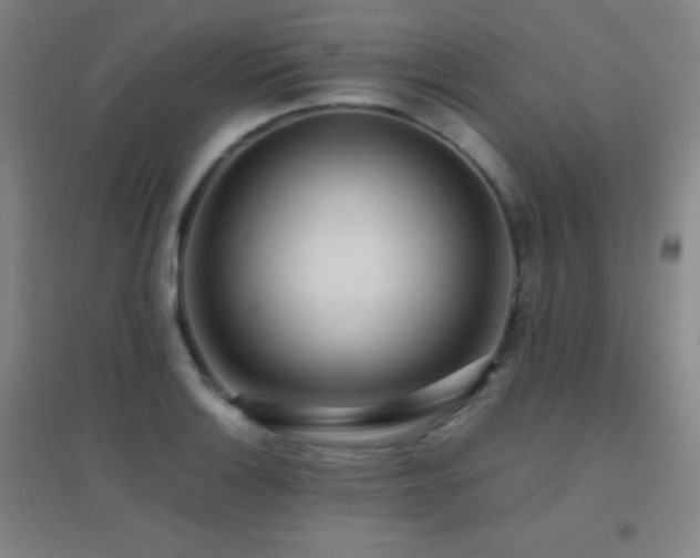 X0000096731132200802051433