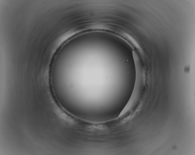 X0000096731133200802051433