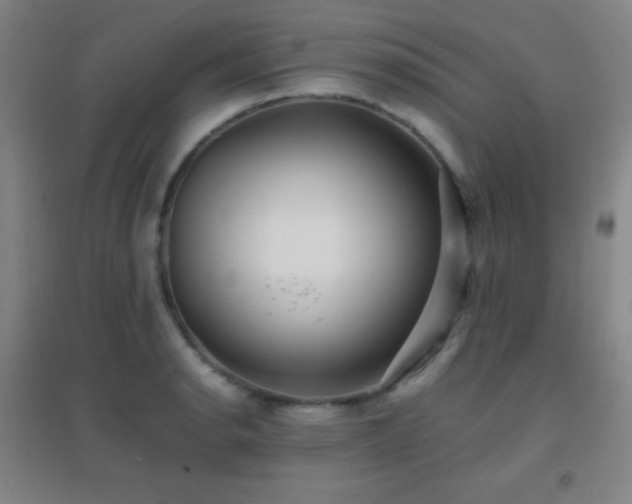 X0000096731134200802051433