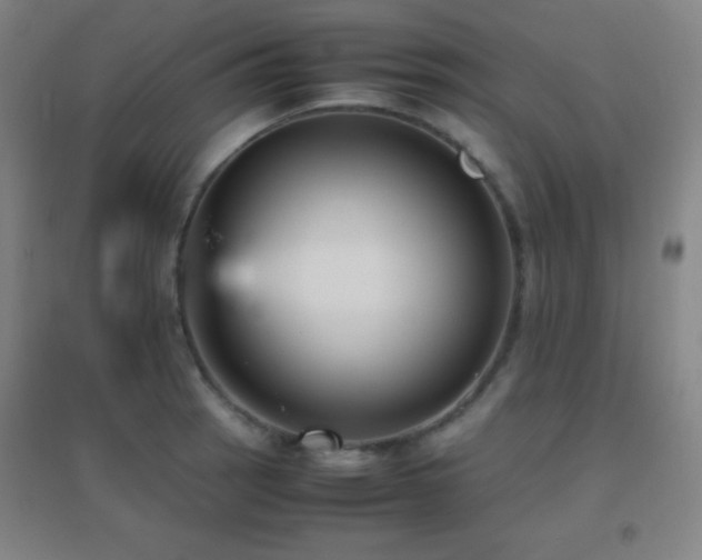 X0000096731137200802051433