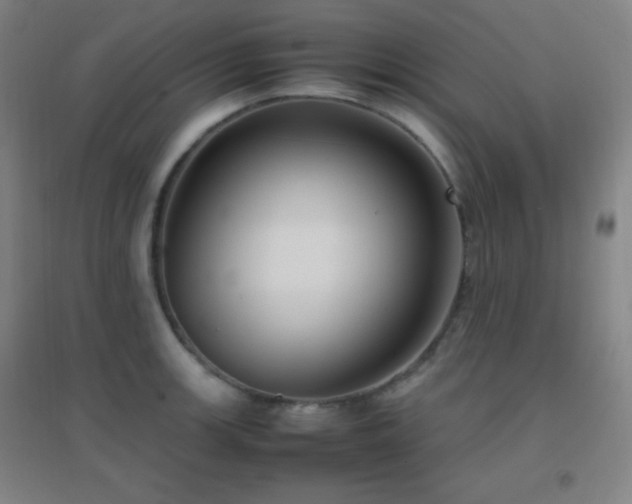X0000096731139200802051433