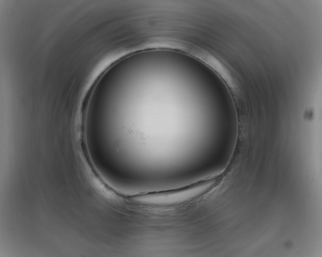 X0000096731140200802051433