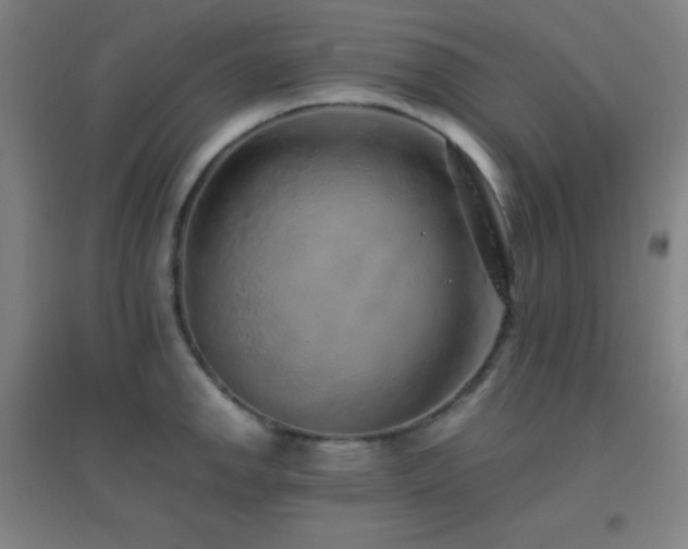 X0000096731142200802051434