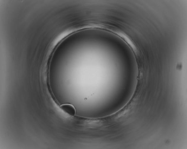 X0000096731143200802051434