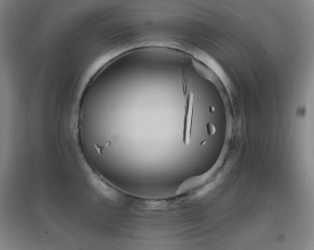 X0000096731144200802051434