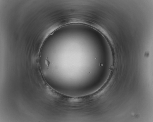 X0000096731145200802051434