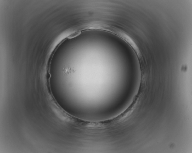 X0000096731146200802051434