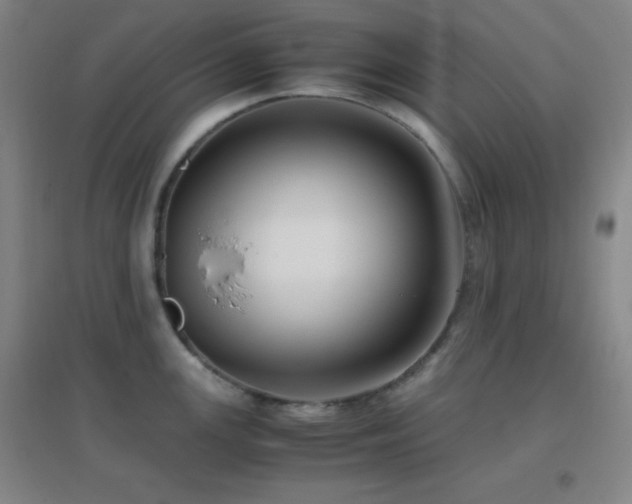 X0000096731147200802051434