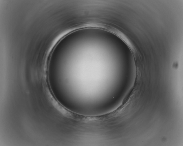 X0000096731148200802051434