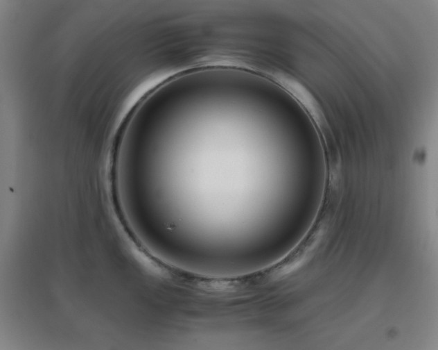 X0000096731149200802051434