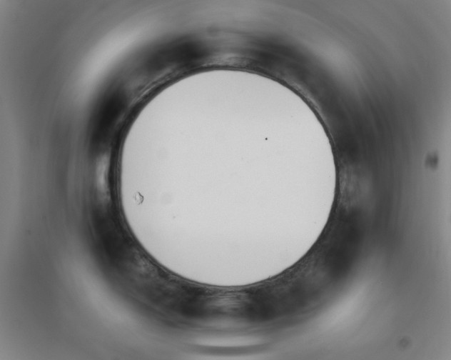 X0000096731150200802051434