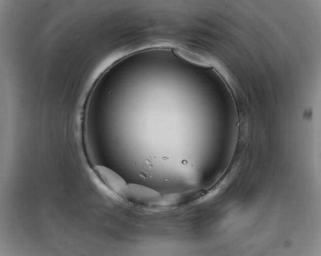 X0000096731151200802051434