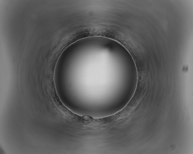 X0000096731153200802051433