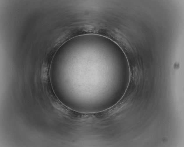 X0000096731154200802051433