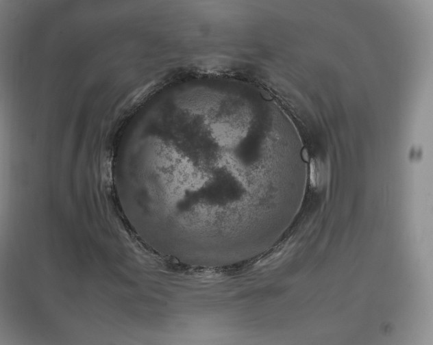 X0000096731155200802051433