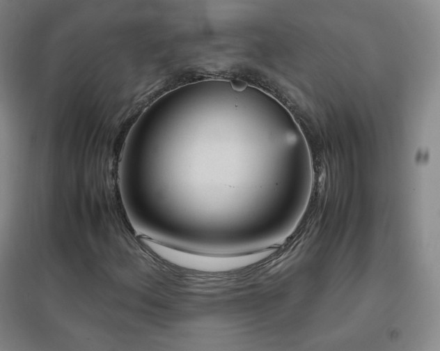 X0000096731156200802051433