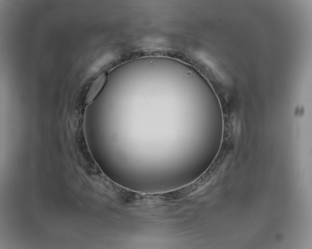 X0000096731157200802051433