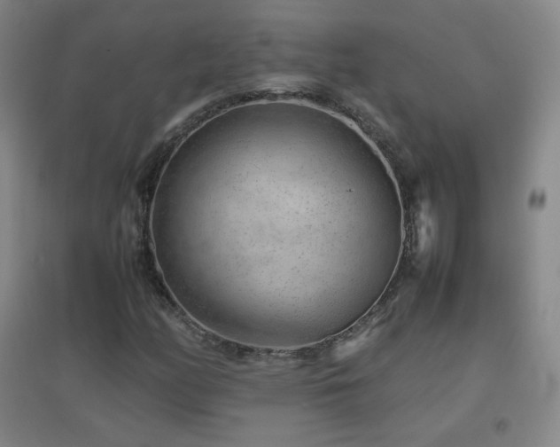 X0000096731158200802051433