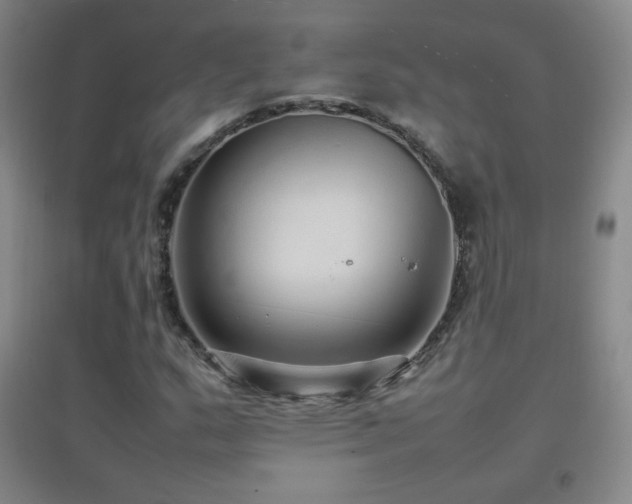 X0000096731159200802051433