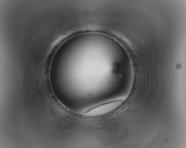 X0000096731160200802051433