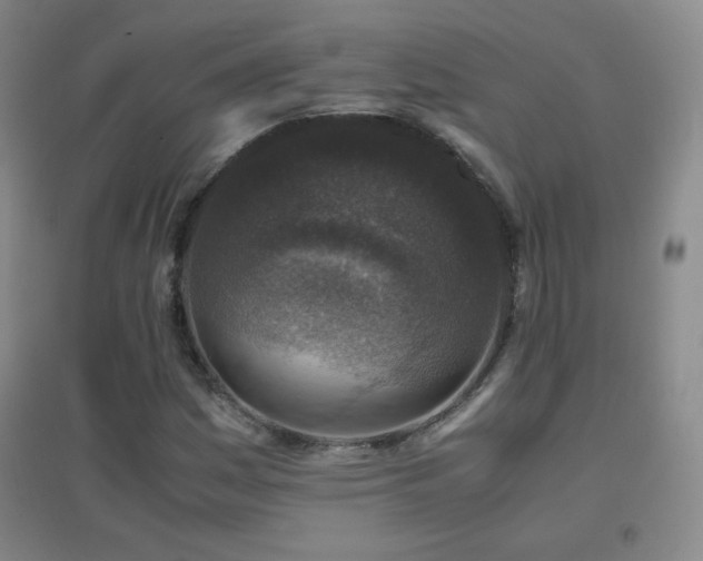 X0000096731161200802051433