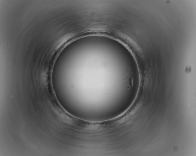 X0000096731162200802051433
