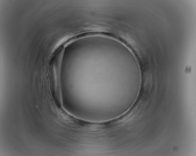 X0000096731163200802051433