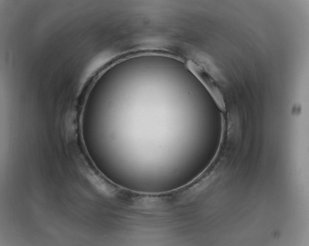 X0000096731164200802051433