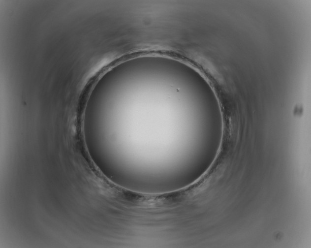 X0000096731165200802051433