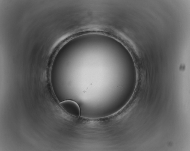 X0000096731166200802051433