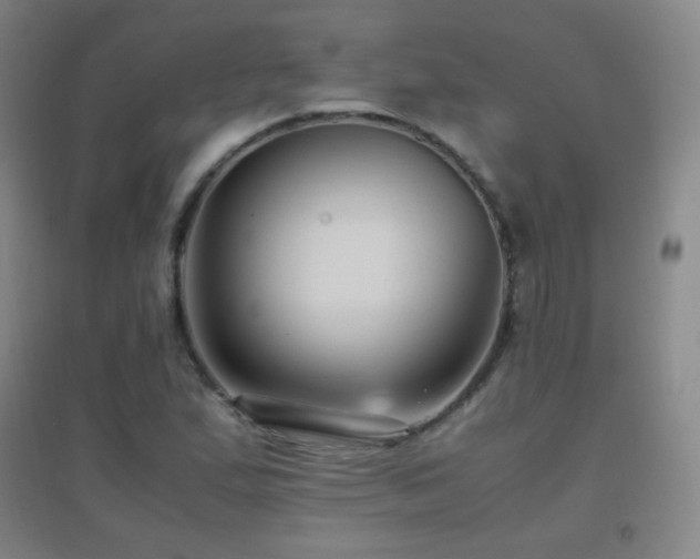 X0000096731167200802051433
