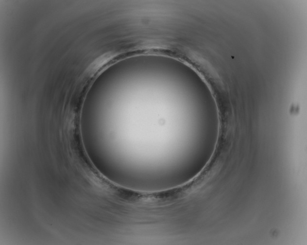 X0000096731169200802051433