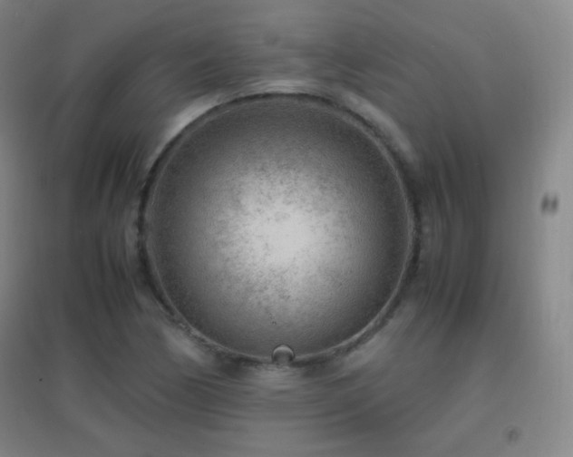 X0000096731170200802051433