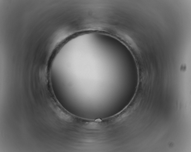 X0000096731172200802051433