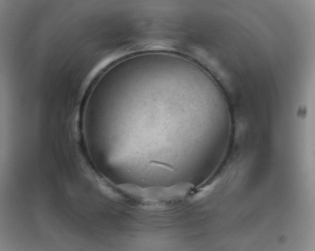 X0000096731174200802051433