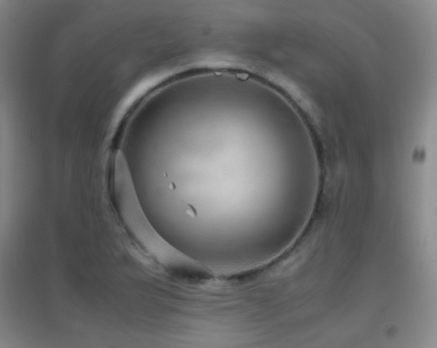 X0000096731175200802051432