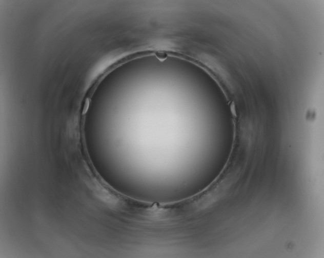 X0000096731176200802051432