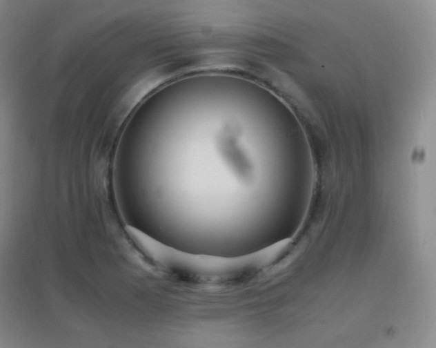 X0000096731177200802051432